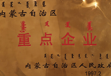 內(nèi)蒙古伊泰集團(tuán)有限公司